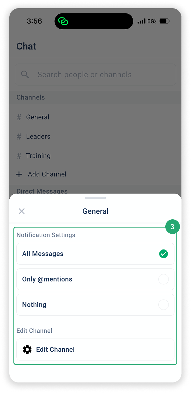 3. Chats Notification settings.png