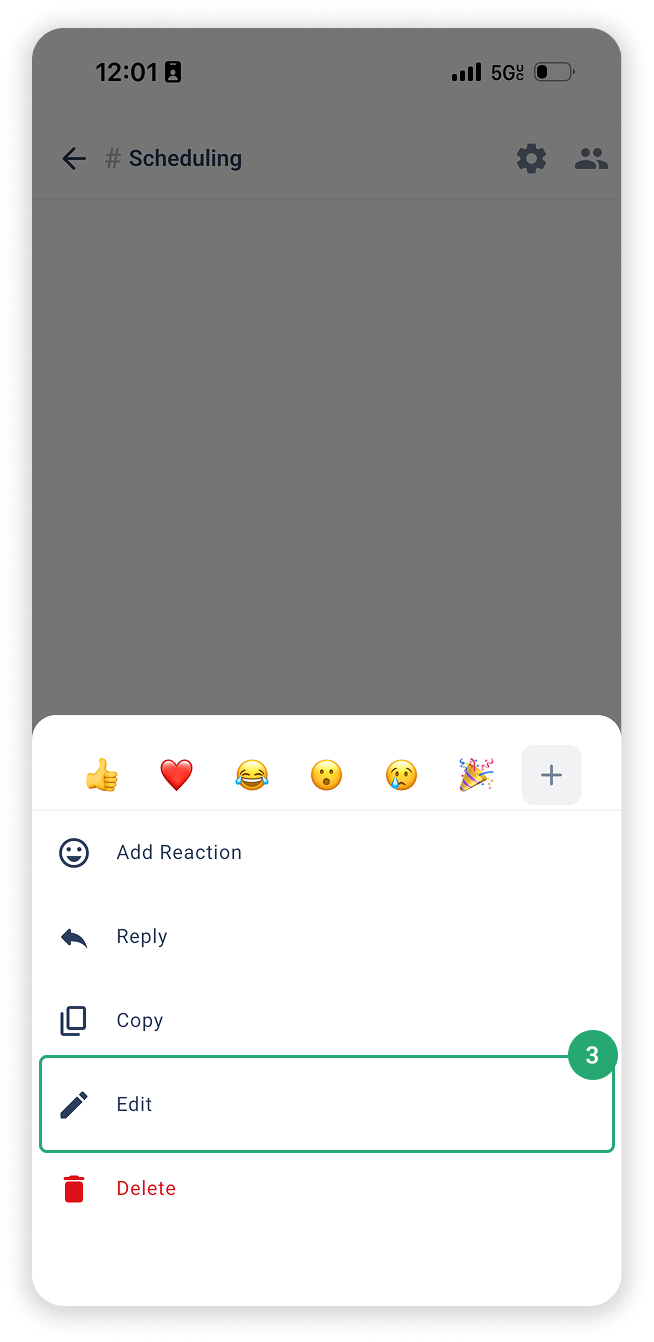 3 Edit a Chat Message.png